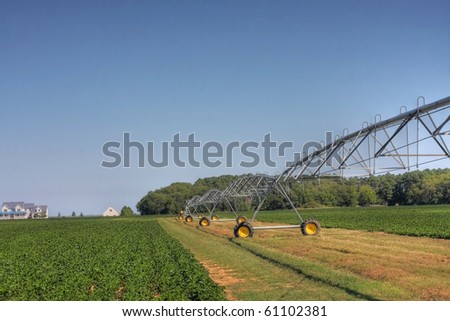 irrigation on a field of butter beans
