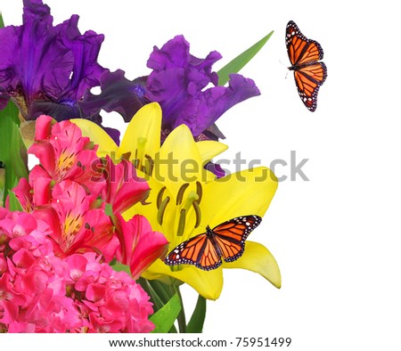 Bright Flowers with Monarch Butterflies on White Background