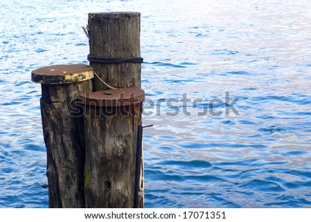 A Dolphin, A pole in the water where boats can be tied up