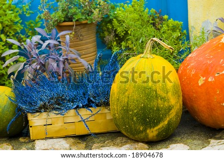 An nice autumn still with some pumpkins