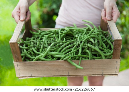 Person brings box of green beans