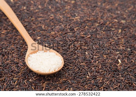 The raw white jasmine rice in a wooden spoon with black raw jasmine rice on the background.