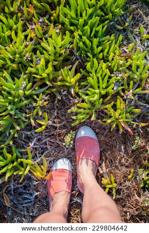 Overhead photo of feet on a background of exotic plants. Women feets. Exploring, travelling, tourism, leisure.