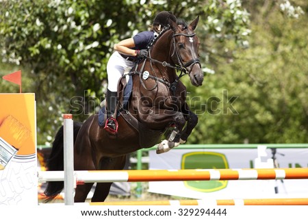 horse riding jumping competition