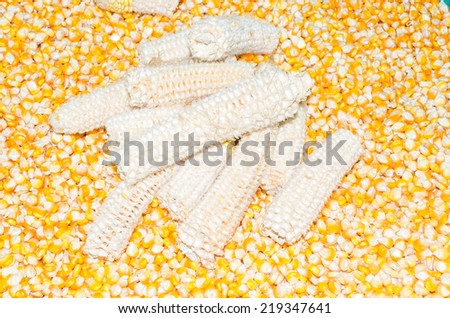Empty corns on corn seed