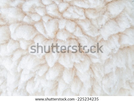 Sheep skin background