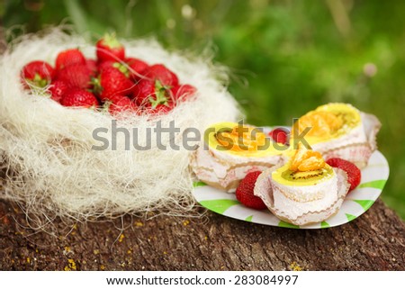 strawberry cheesecake and fresh berries picnic summer, tasty cake slice and fresh strawberry fruit, selective focus,series