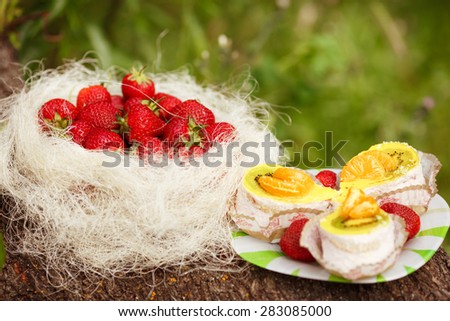 strawberry cheesecake and fresh berries picnic summer, tasty cake slice and fresh strawberry fruit, selective focus,series