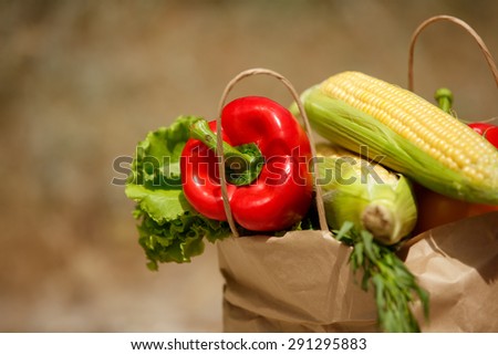 Fresh vegetables organic food, various colorful raw vegetables, Fresh Bio Vegetable in  package Over Nature Background, organic corn, pepper and green salad, healthy eating, selective focus