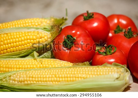 Fresh tomatoes and corn organic vegetables, raw tomato bio food, Group of tomatoes and golden corn diet food, healthy eating and healthy life concept, selective focus, series