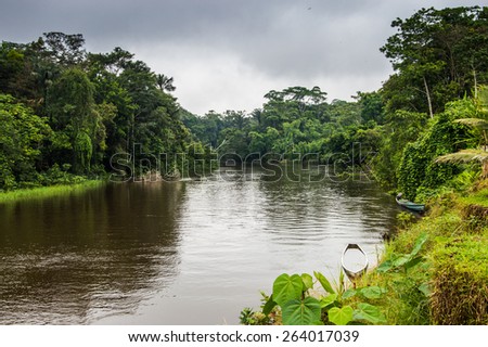 Cuyabeno river in Cuyabeno reserve. Rain forest, terrain of Siona indigenous people. Transport by the river by motorboats. Great place to visit, jungle, lots of animals. Cloudy morning, dense forest.