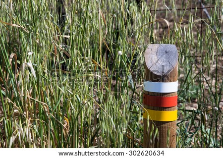 Wooden post marking trails. Trail marks in white, red and yellow. Post standing in high grass on the side of the road.  Indicates the way to go, how to follow the trail.