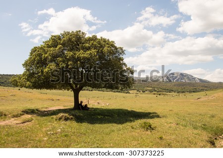 Beautiful landscape. Man under the tree. Landscape of Llanos de Republica plain in Sierra Grazalema Natural Park,Andalusia,Spain. Person sitting under the tree in the shadow, resting after hiking.