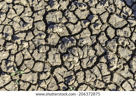 Drought, Cracked Earth Pattern, Global Warming