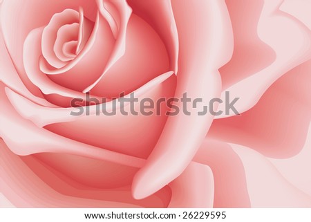 wallpaper rose pink. Pink Rose - Wallpaper