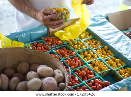 Tomatoes at the Farmer\'s Market