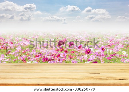 Wood table top on unfocused cosmos flowers and sky background -