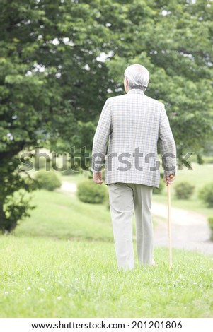 The rear view of the old man walking with a cane in the park