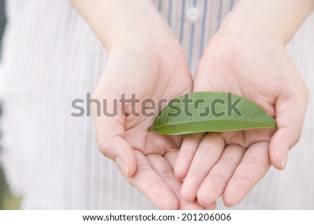 The hand of the woman putting both hands on the leaves