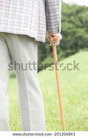 The rear view of the old man walking with a cane in the park