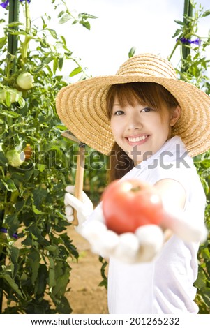 Woman holding out the tomatoes from field