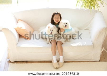 smiling girl snuggling the two Spitz dogs sitting on the sofa
