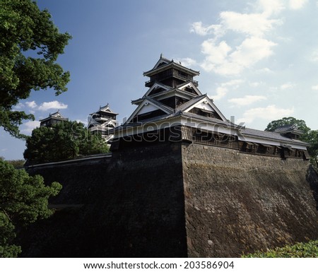 Japanese Castle ( Important Cultural Properties Of Japan )