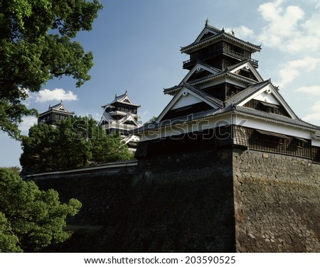 Japanese Castle ( Important Cultural Properties Of Japan )