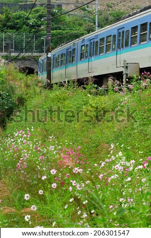Image Of The Japanese Train