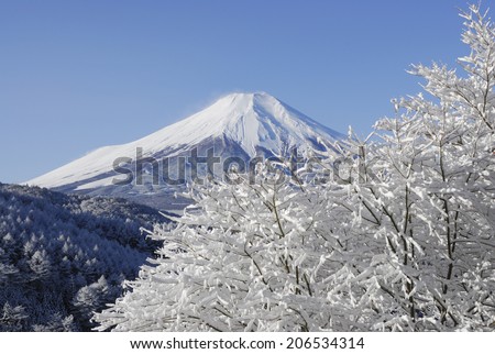 Mt. Fuji And The Snow