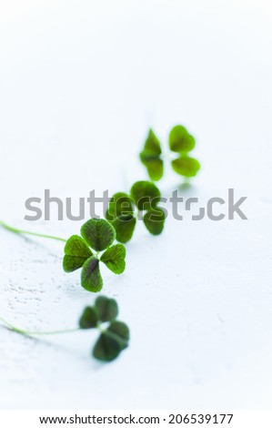 An Image of Four-Leaf Clover