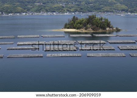 Wooden Raft Of The Japanese Island
