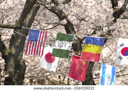 Flags Of All Nations And Sakura
