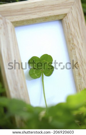 Small Frame And The Four-Leaf Clover