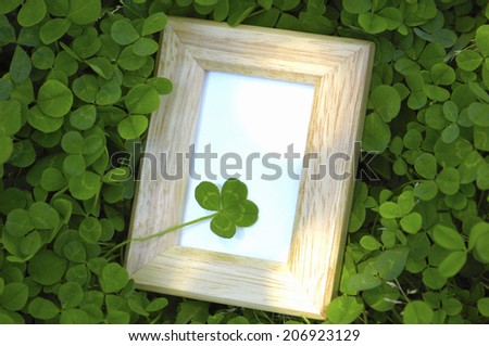 Small Frame And The Four-Leaf Clover
