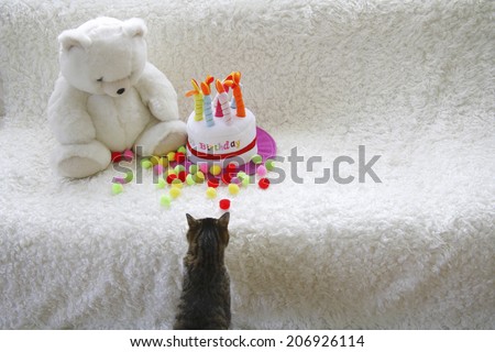 Teddy Bear And Birthday Cake