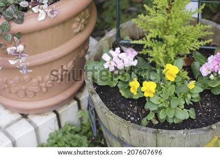 An image of Container Garden