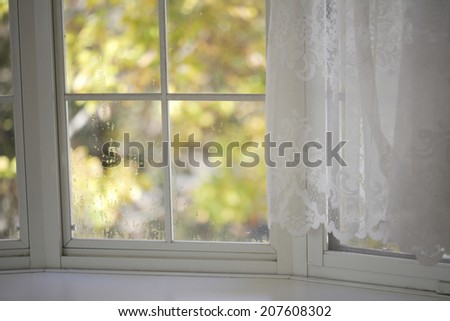 Fall Seen From The White Window-Side