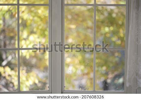 Fall Seen From The White Window-Side