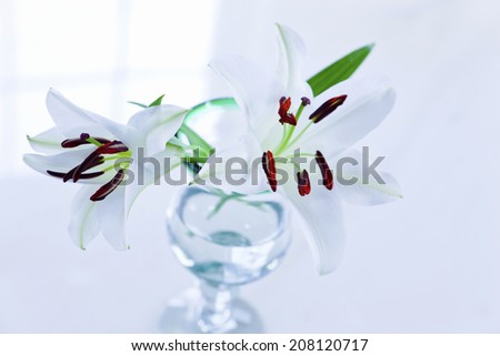 The Flower Of Lily In A Vase