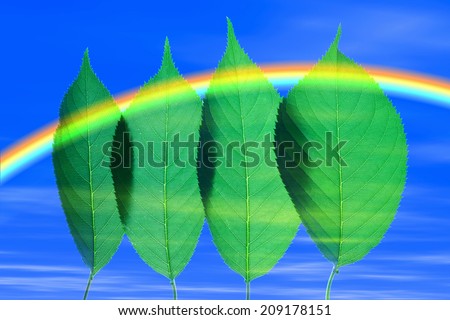 CG of the Rainbow and Fresh Green