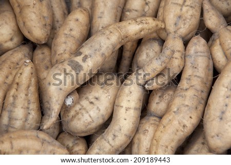 Pesticide-free Sweet Potato