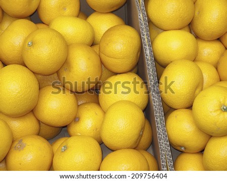 Mandarin Orange in the Fruit Shop Display