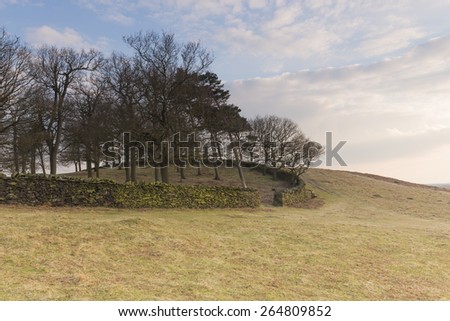 Countryside walk, with an option of walking around the wall, or through the gap on a beautiful spring evening in Bradgate Park, Leicestershire, England.