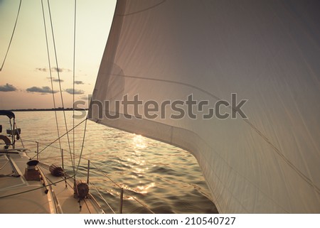Sails full of wind over sunset ocean