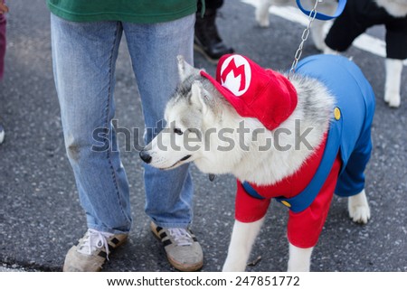 TOKYO , JAPAN - OCTOBER 27 : An unidentified dog wear a Mario cosplay on October 27 , 2013 in Tokyo , Japan .