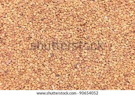 Stored Fenugreek Seeds