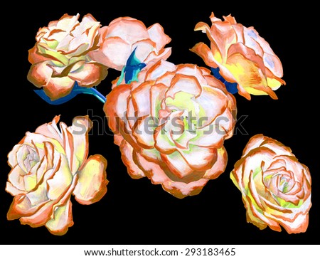 hand painted flowers isolated in black background