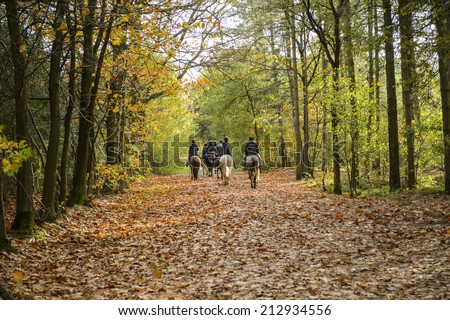 Group of horse riders in the forest in autumn
