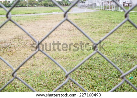 Rail fence and green yard